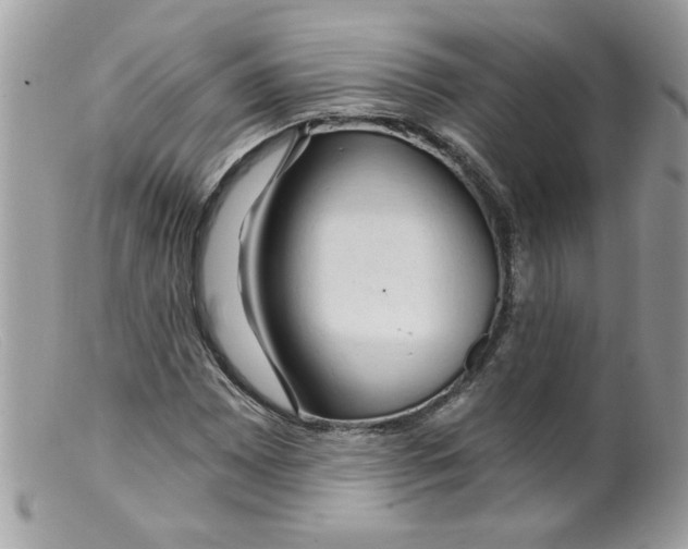 X0000098131065200805151110