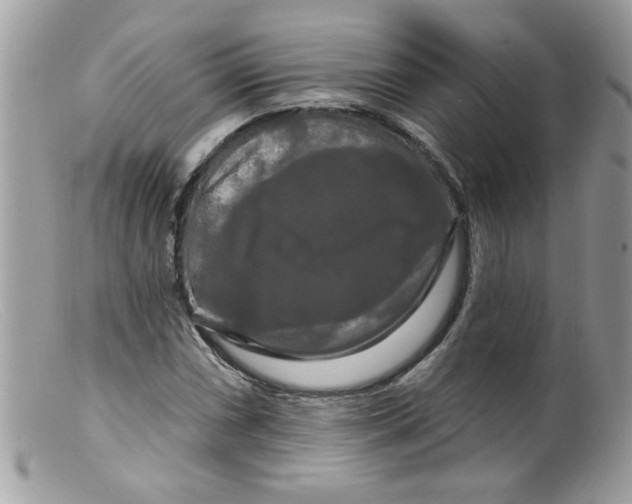 X0000098131066200805151110