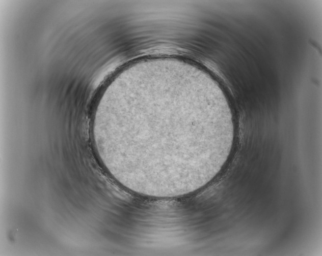 X0000098131067200805151110