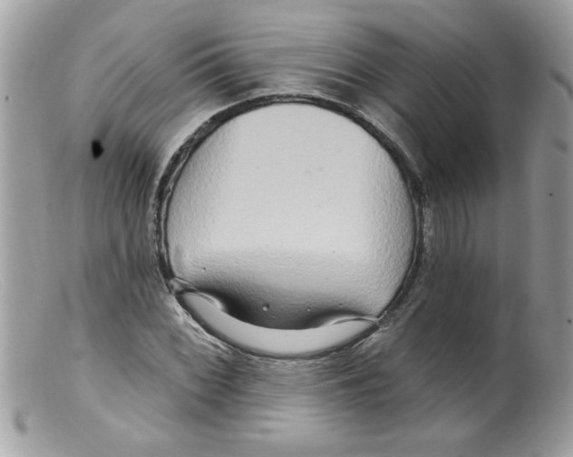 X0000098131068200805151110
