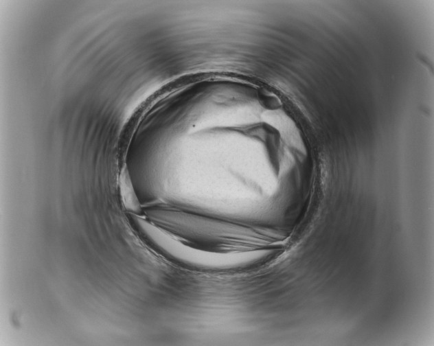 X0000098131069200805151110