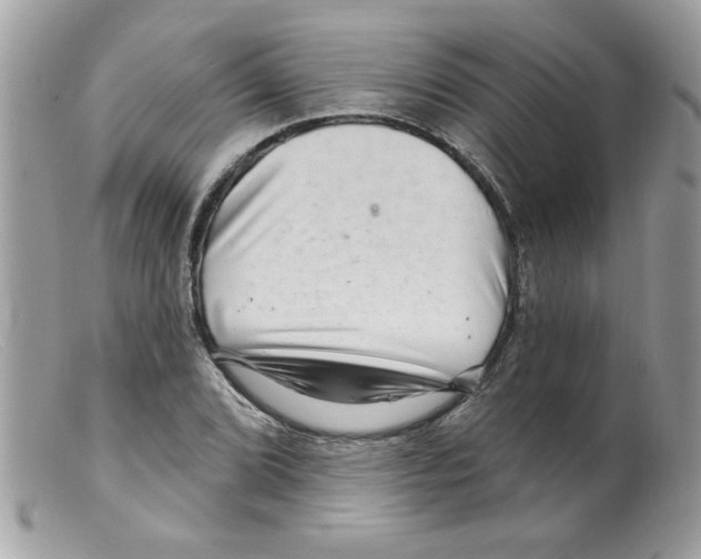 X0000098131072200805151110