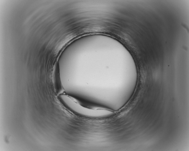 X0000098131073200805151110