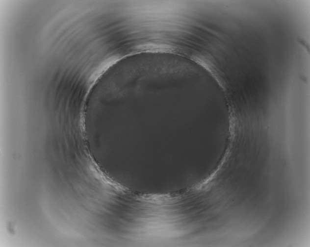 X0000098131074200805151110