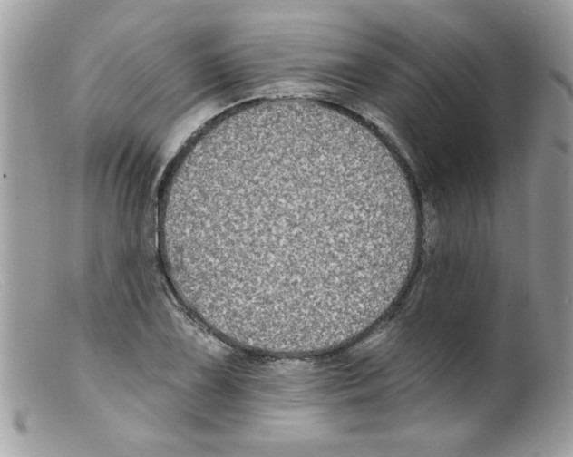 X0000098131075200805151110