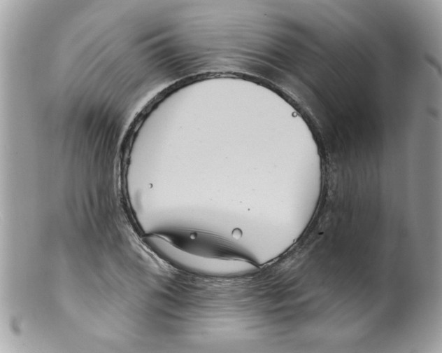 X0000098131076200805151110