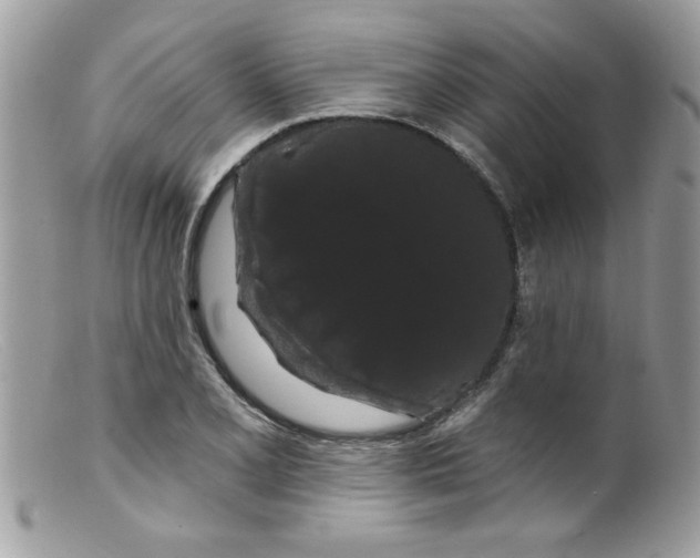 X0000098131077200805151110