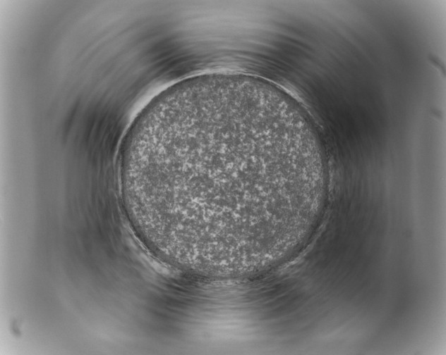 X0000098131078200805151110
