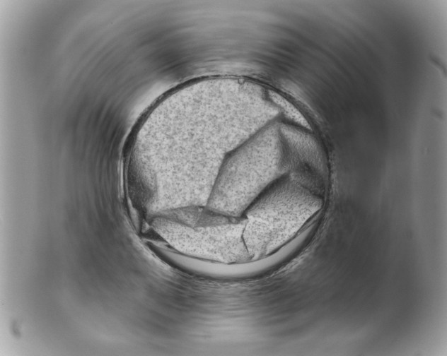 X0000098131079200805151110