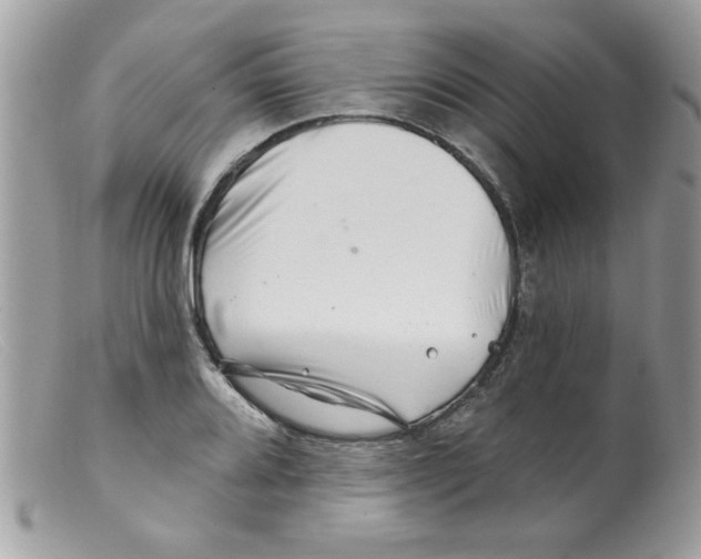 X0000098131080200805151110