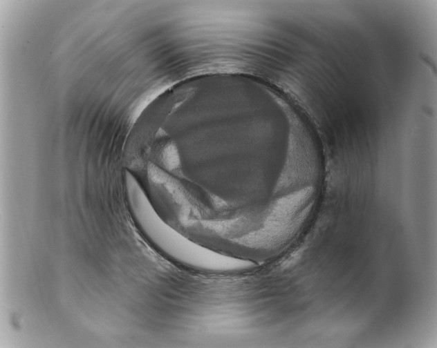 X0000098131081200805151110