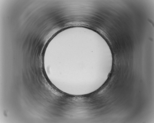 X0000098131082200805151110