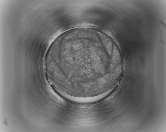 X0000098131083200805151109