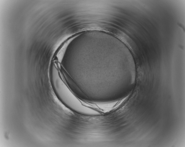 X0000098131084200805151109