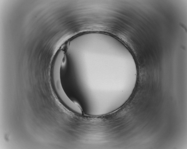 X0000098131085200805151109