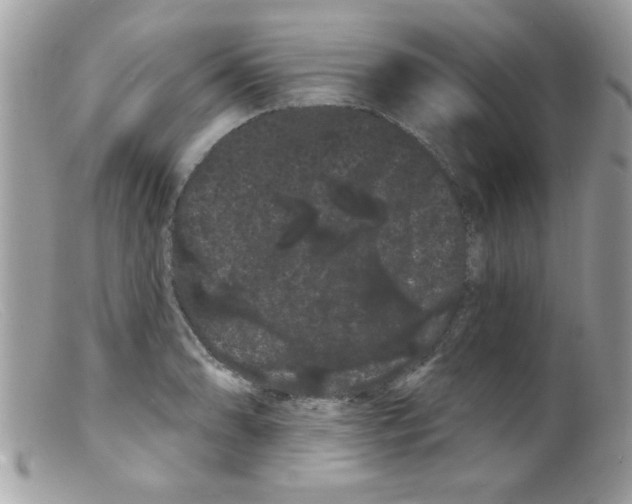 X0000098131086200805151109