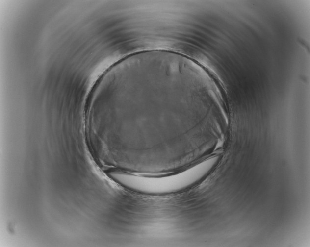 X0000098131088200805151109