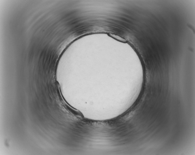 X0000098131089200805151109