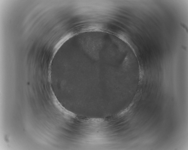 X0000098131090200805151109