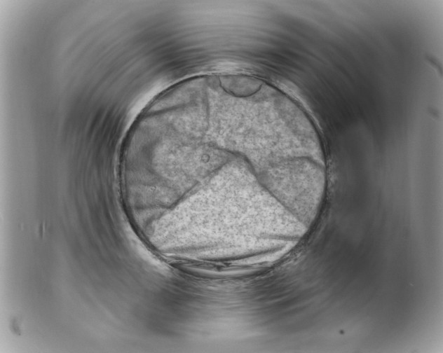 X0000098131091200805151109