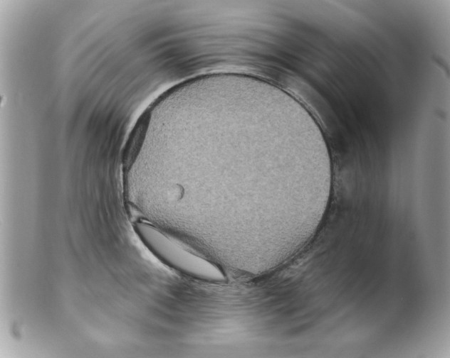 X0000098131092200805151109
