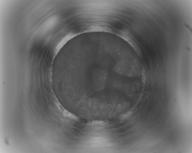 X0000098131094200805151109