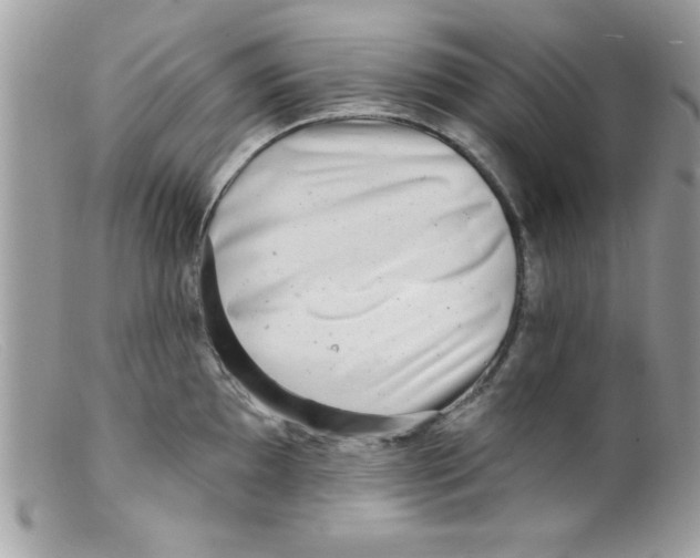 X0000098131097200805151109