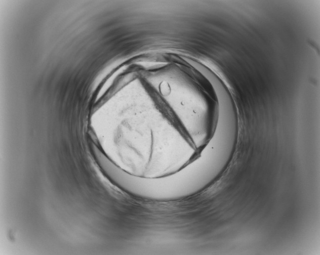 X0000098131101200805151109