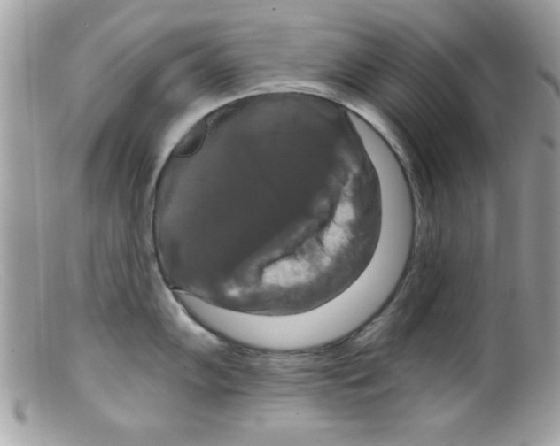 X0000098131102200805151109