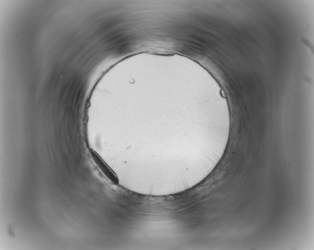 X0000098131104200805151109