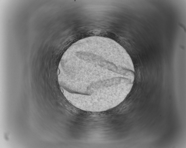 X0000098131105200805151109