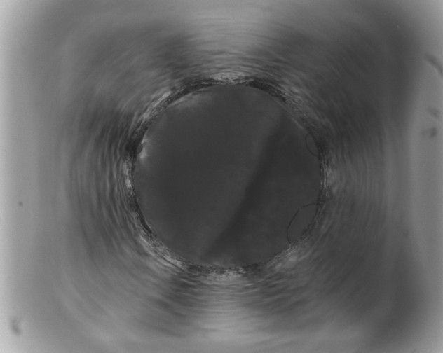 X0000098131106200805151109