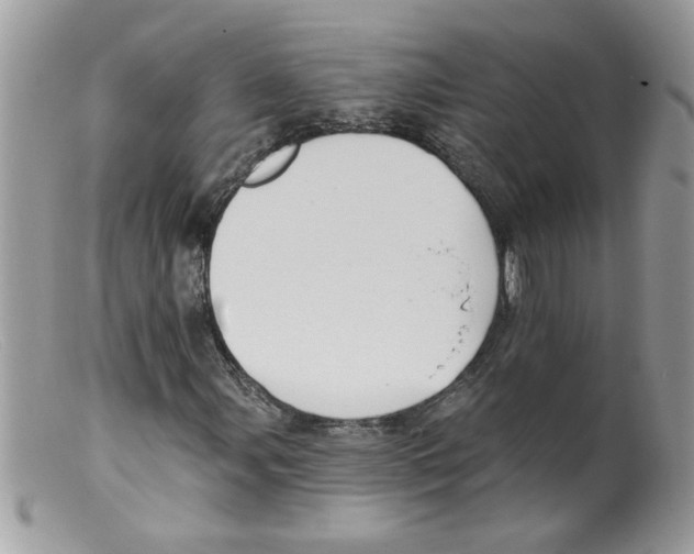 X0000098131107200805151109