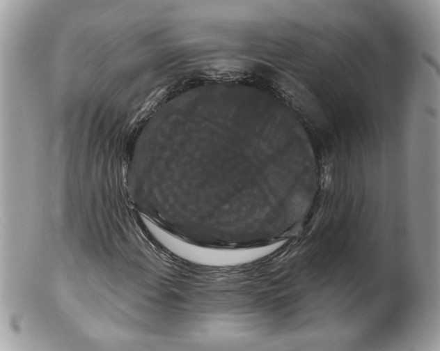 X0000098131108200805151109