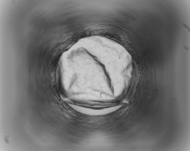 X0000098131109200805151109
