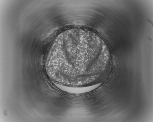 X0000098131110200805151109