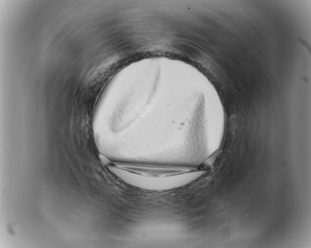 X0000098131111200805151109
