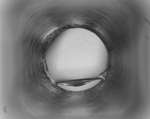 X0000098131112200805151109