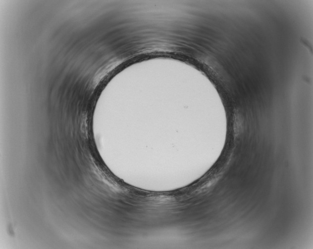 X0000098131113200805151109