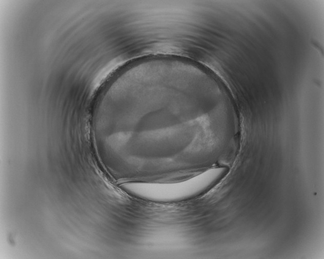 X0000098131115200805151109