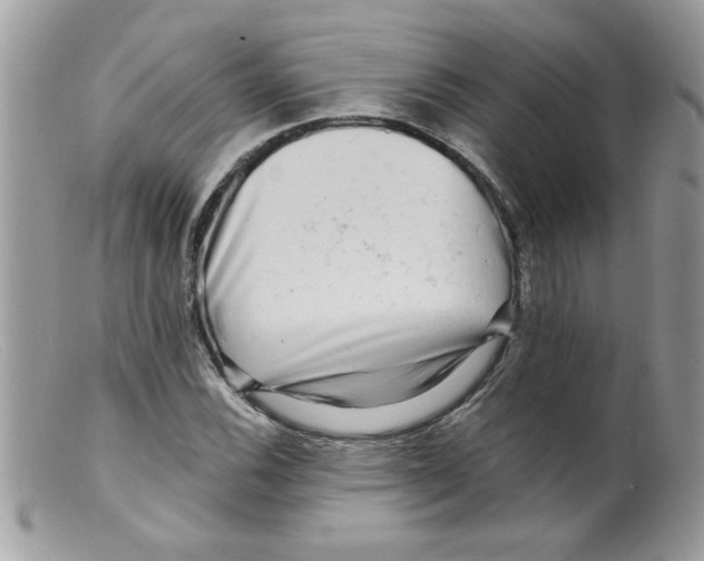 X0000098131116200805151109