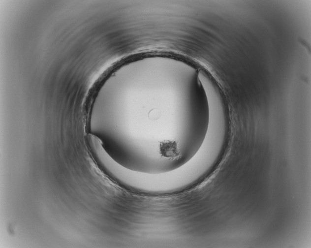 X0000098131118200805151109