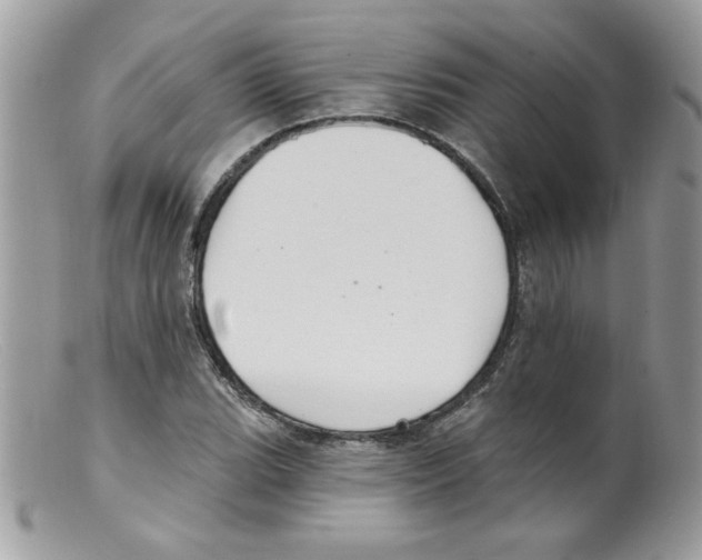 X0000098131119200805151109