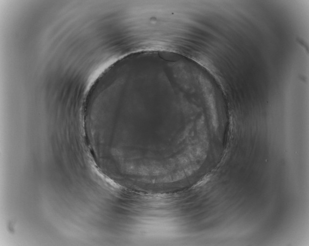 X0000098131120200805151109