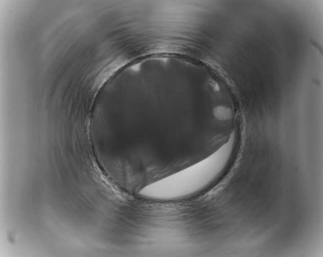 X0000098131121200805151109