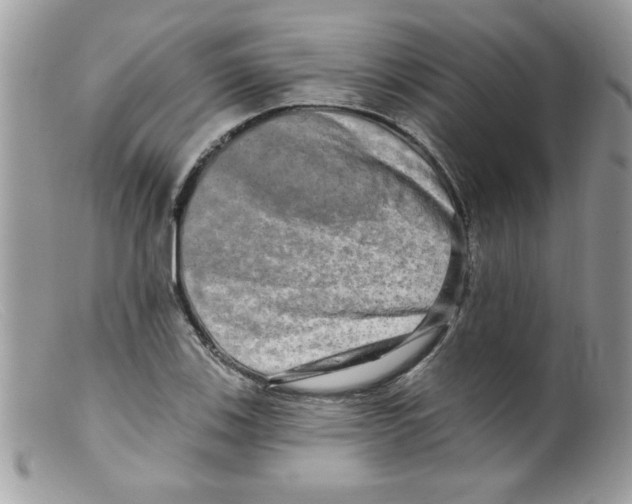 X0000098131123200805151109
