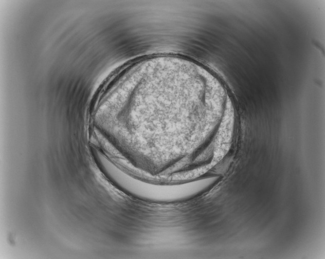 X0000098131124200805151109