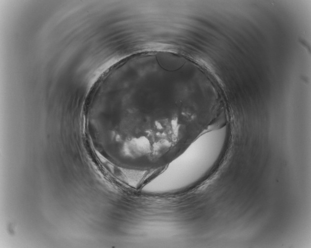 X0000098131125200805151109