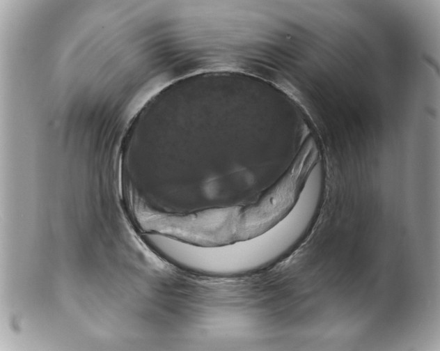 X0000098131127200805151109