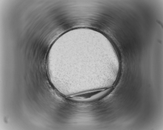 X0000098131129200805151109